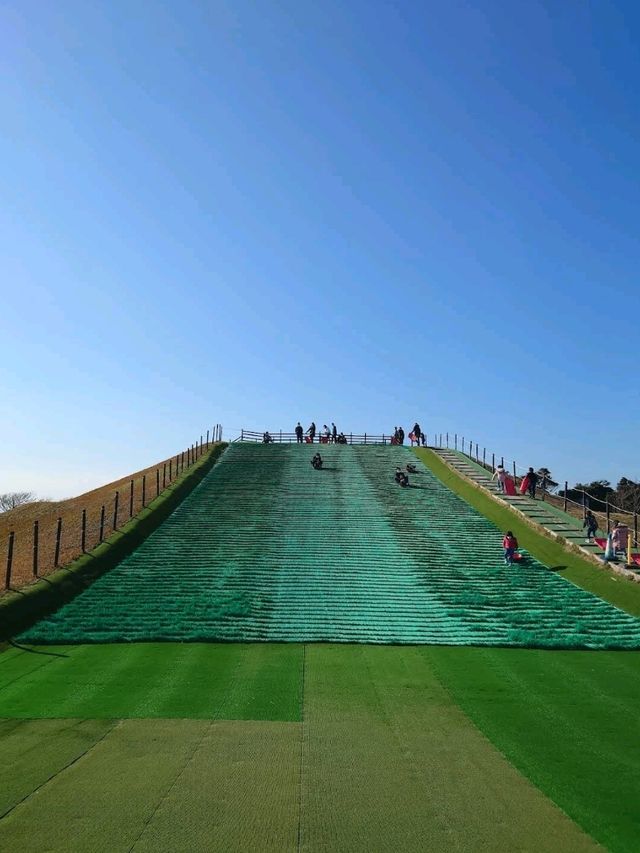 ☀️長井海之手公園 太陽之丘☀️體驗15米高的高空滑索