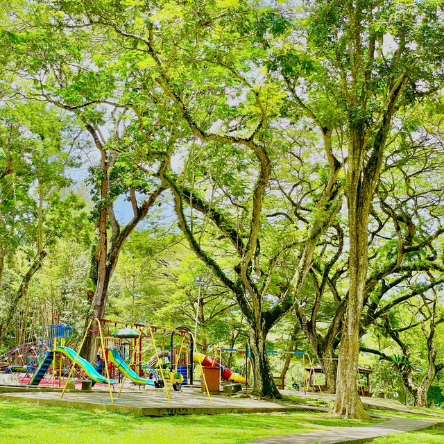 The Urban Rainforest Escape in Penang