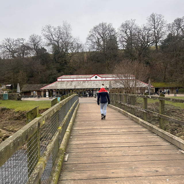 The perfect winter walk 