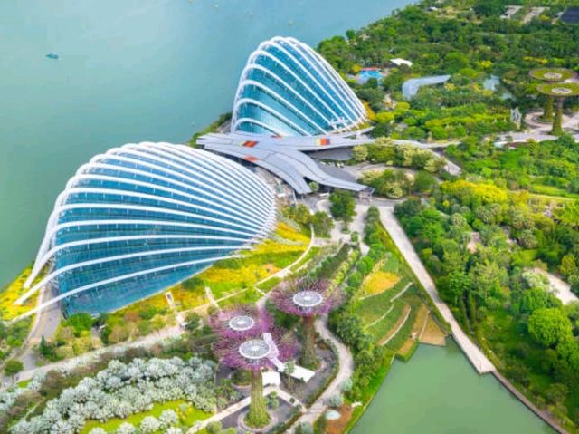 Gardens by the Bay​: Singapore's iconic planet!