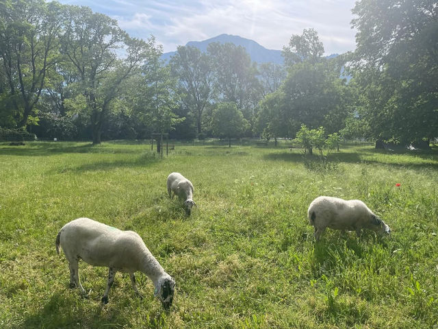 Grenoble 🗺️