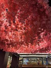 Shopping & Fun All In One – A Day at Doha Festival City Mall