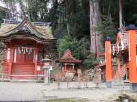 A shrine with the only wooden thirteen-story pagoda in the world