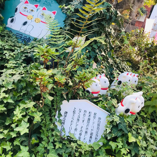 Asakusa Sui is famous for matchmaking