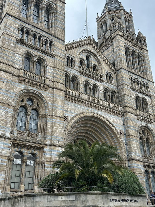National History Museum Guide 🇬🇧