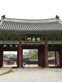 【昌徳宮】韓国ドラマの舞台！ソウルの世界遺産へ