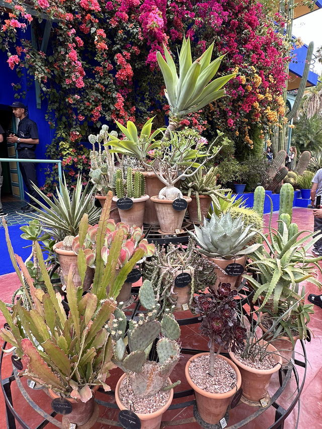 The Majorelle Garden in Marrakech is a true bliss for lovers of nature and art.