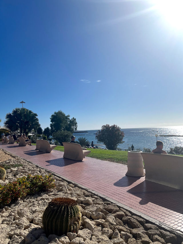 Playa del Duque and Playa Fanabe Tenerife 🇪🇸