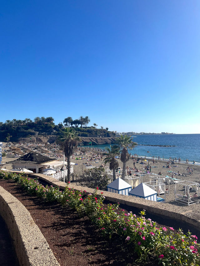 Playa del Duque and Playa Fanabe Tenerife 🇪🇸