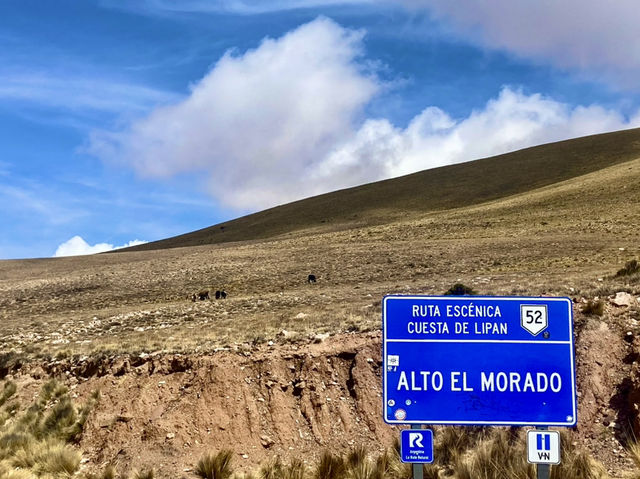 Your Perfect Day in the Salta Area