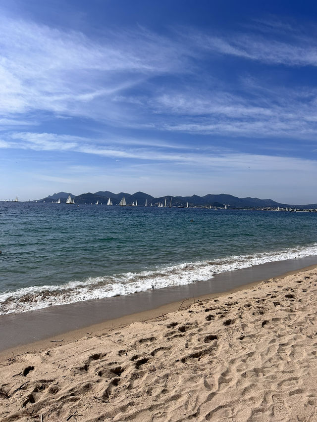 Dreams in Cannes