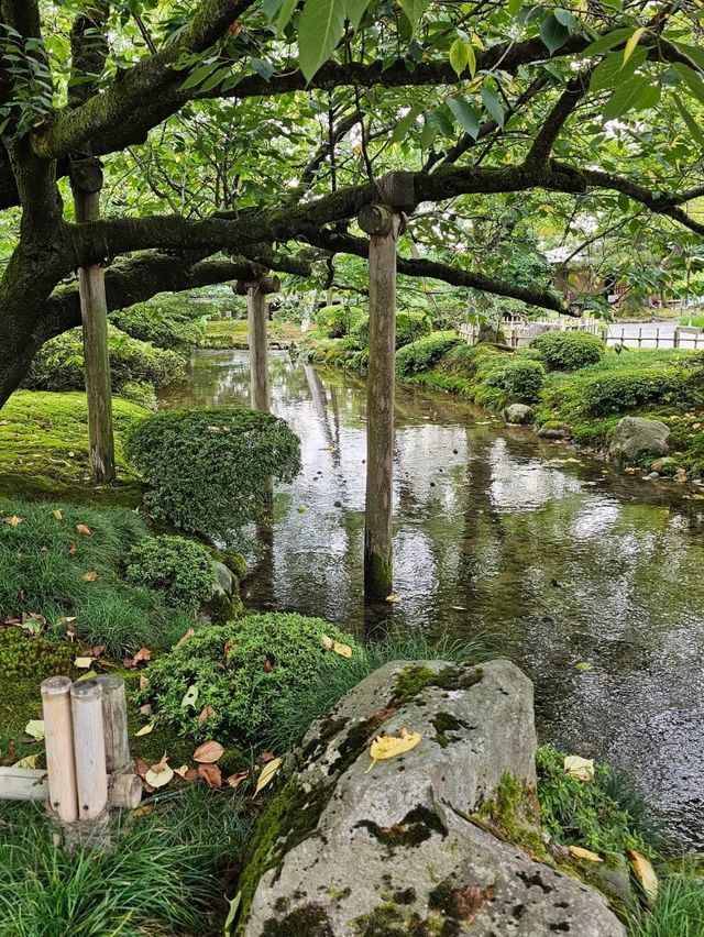 Kenroku-en: One of Japan’s Most Beautiful Gardens