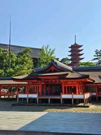 Itsukushima Shrine – The Floating Torii Gate of Japan ⛩️🌊