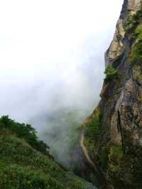 Wugongshan: Sea of Clouds & Alpine Dreams🏔🏞