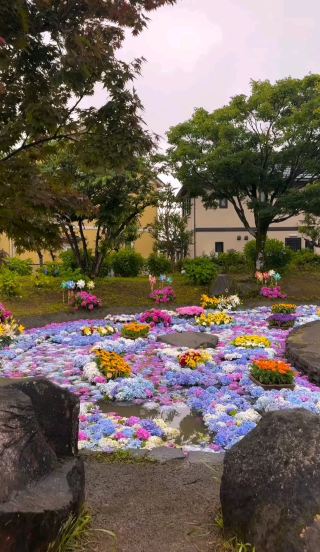 🌸 Shimoda Hydrangea Festival: A Blooming Paradise in Shizuoka