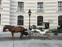Amazing Vienna !!