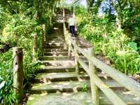 中和圓通寺連走土城清水大尖山