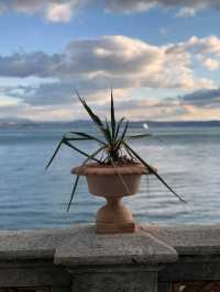 Miramare Castle: The Castle Built for Love (and Cursed by Love)