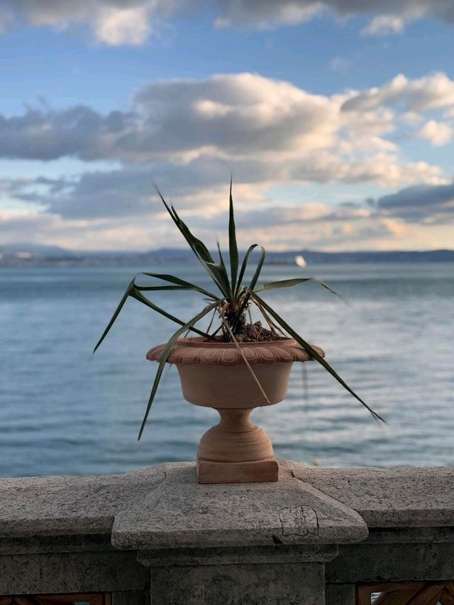 Miramare Castle: The Castle Built for Love (and Cursed by Love) Miramare Castle: The Castle Built for Love (and Cursed by Love)