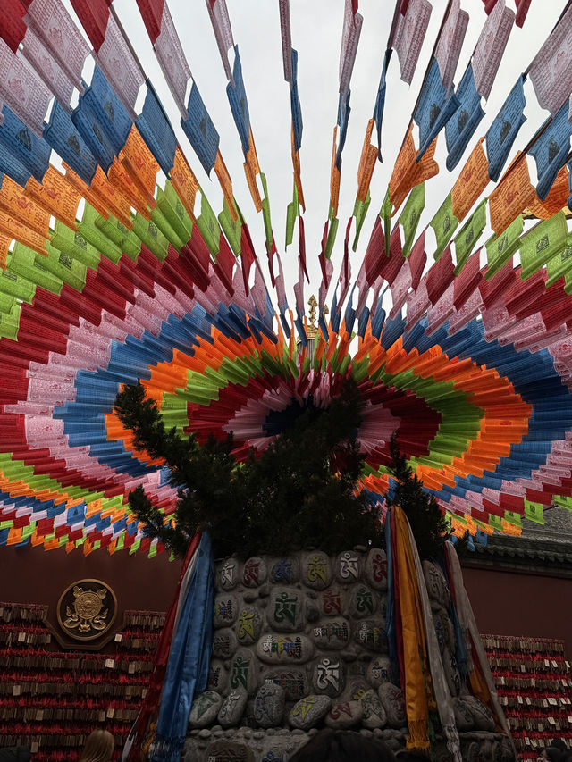 Пара дней в Сиане или как я влюбился в этот город-жемчужину Пара дней в Сиане или как я влюбился в этот город-жемчужину