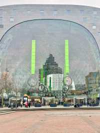 Tree Meets Culture🌳,