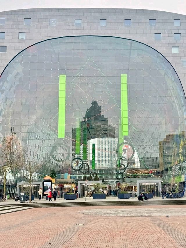 Tree Meets Culture🌳,