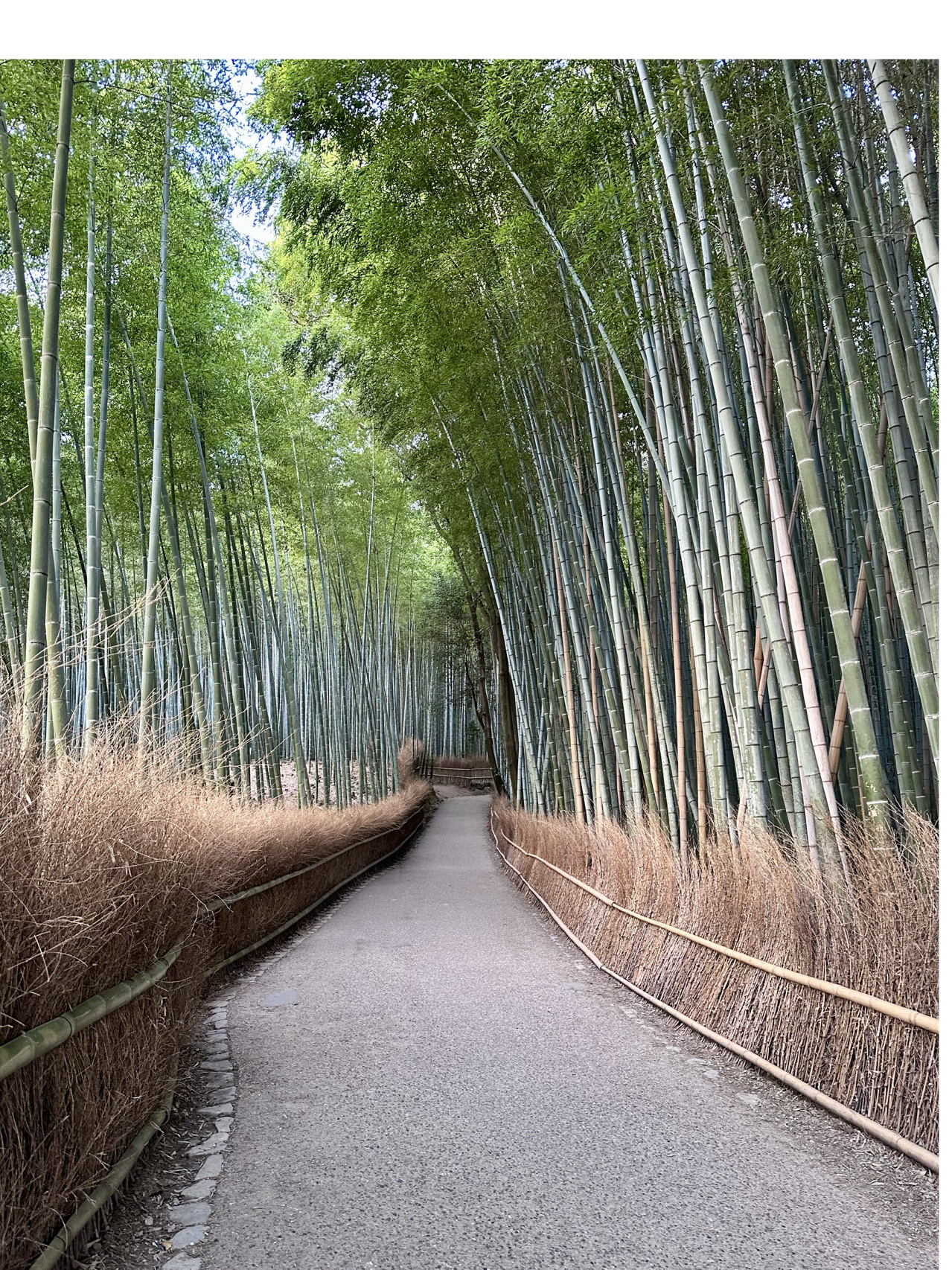 Arashiyama and the Bamboo Grove: A Place You Shouldn't Judge Just by Photos  | Trip.com Kyoto