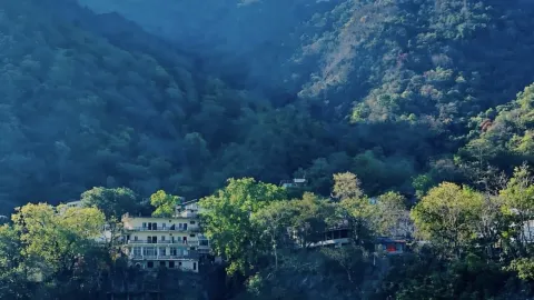 Rishikesh Uttarakhand 🇮🇳 — traveler post in Rishikesh