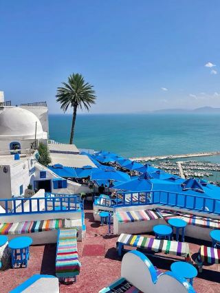 西迪布賽義德 (Sidi Bou Said) — 白牆藍門交織、俯瞰波光粼粼大海的突尼西亞小鎮。