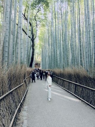 Is the Arashiyama Bamboo Forest Worth the Hype? (And What to See Instead) 🌿