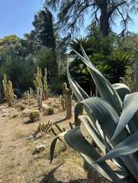 The Secret Garden of Trastevere: Where History Meets the Wilderness