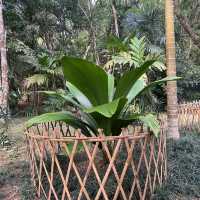 Tropical Botanical Gardens - paradise ！