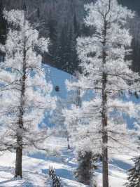 Winter in Xinjiang 😍😍😍 Scenery to die for!