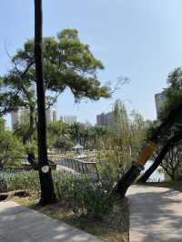 深圳深度遊 四海公園 可以放歌嘅凳