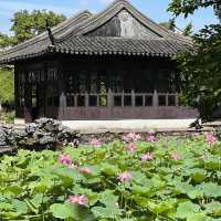 【中国・蘇州】夏は蓮の花が一面に咲き乱れる庭園・拙政園（世界文化遺産）