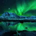 Caroline Hardy