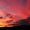 ryndal_0113