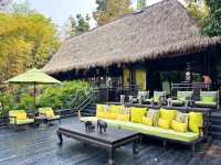 Thailand's Chiang Rai Golden Triangle Four Seasons Tent Hotel ~ Ultimate Wild Luxury Vacation!