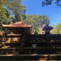 Bali's Cheeky Residents @Monkey Forest