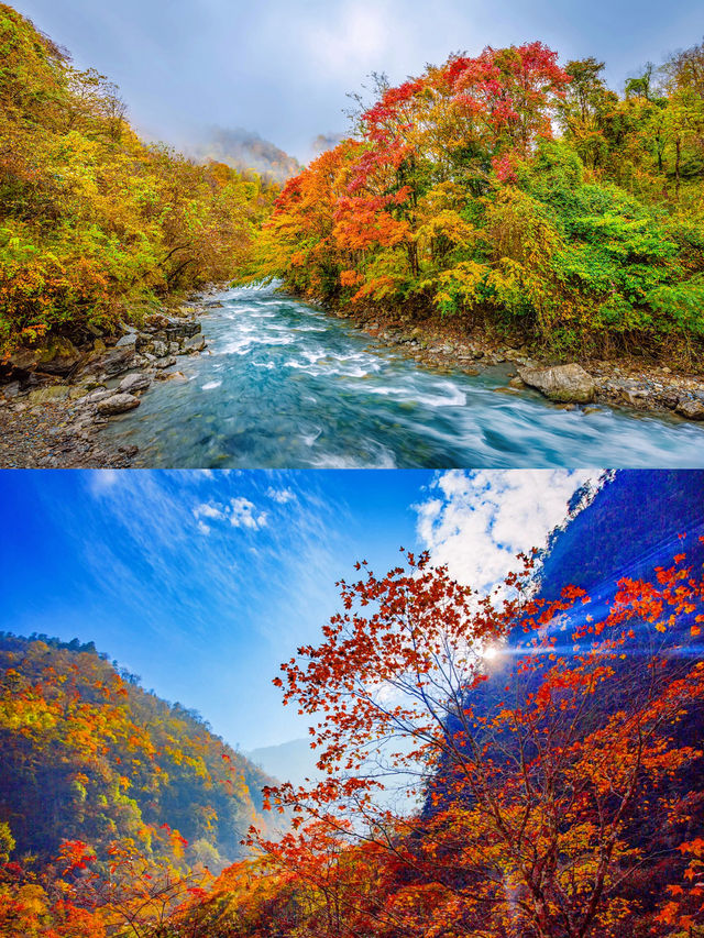你一定要在秋天去二郎山喇叭河風景區一次