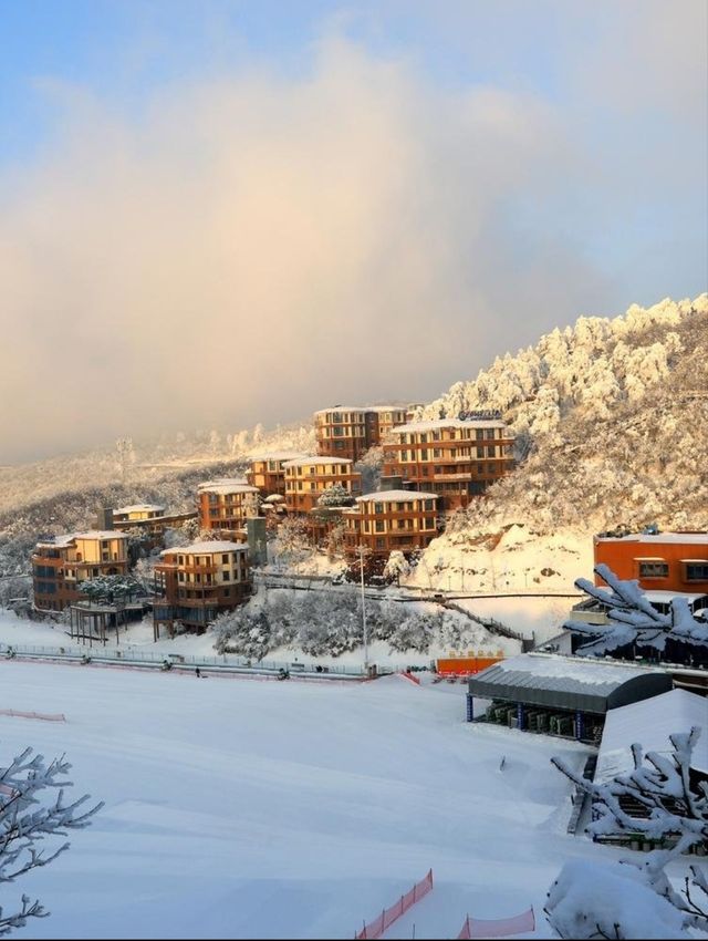 一家下樓就可以滑雪的酒店太酷啦