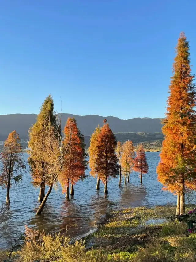 In Kunming | Share a hidden niche tourist destination