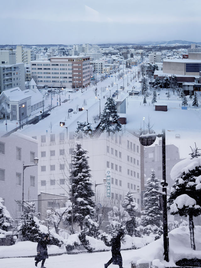 看雪中企鵅散步，在旭川最高建築俯瞰雪後浪漫旭川！