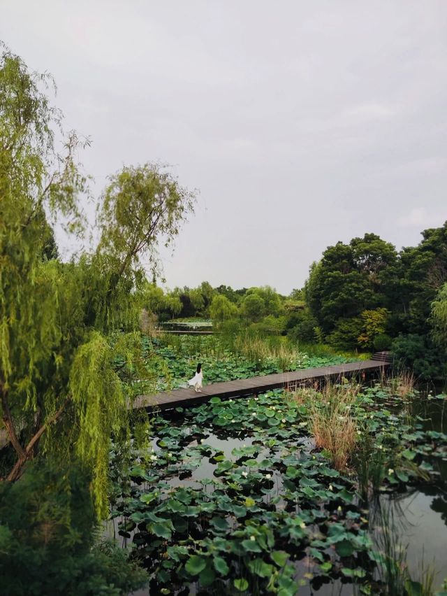 衣袂飄飄～來山東不能不去的小眾景點