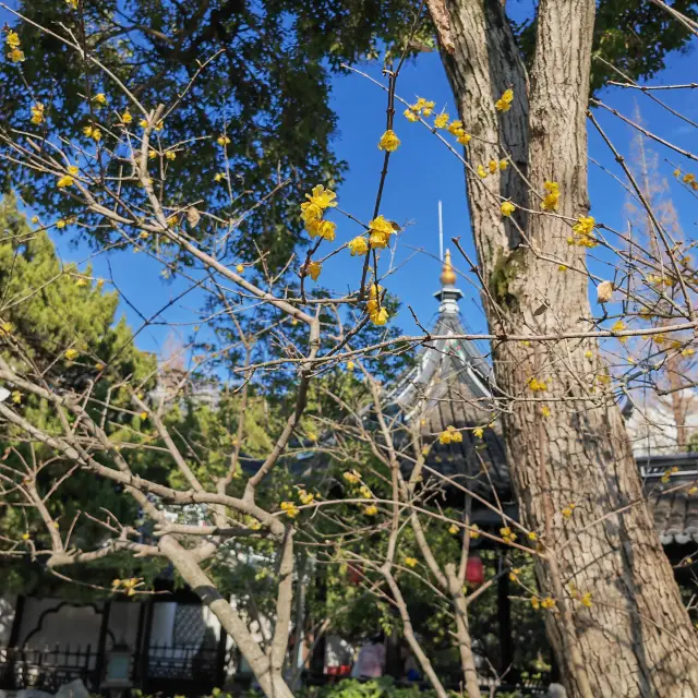 สวนกวีหลิน