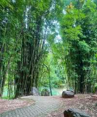 昆明（黑龍潭公園）