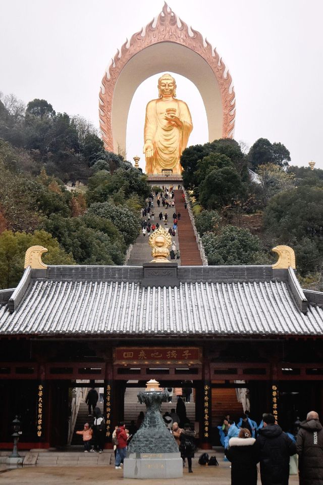 探秘江西九江：東林大佛，金色佛像的魅力