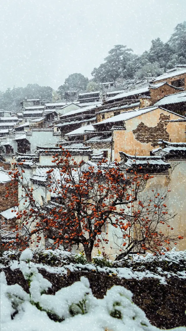 婺源篁嶺一下雪就美成了徽州