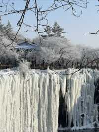 黑龍江除了雪鄉的雪很美，原來這裡也不錯