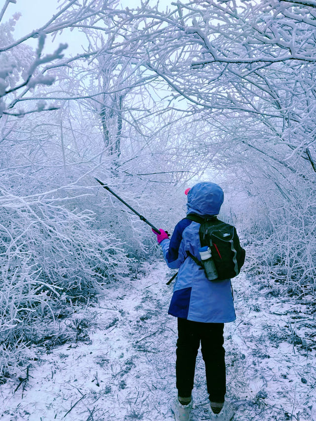 一山賞盡秋山雪色，四明山自駕路線及機位